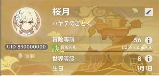 世界で唯一！ 原神最高品質